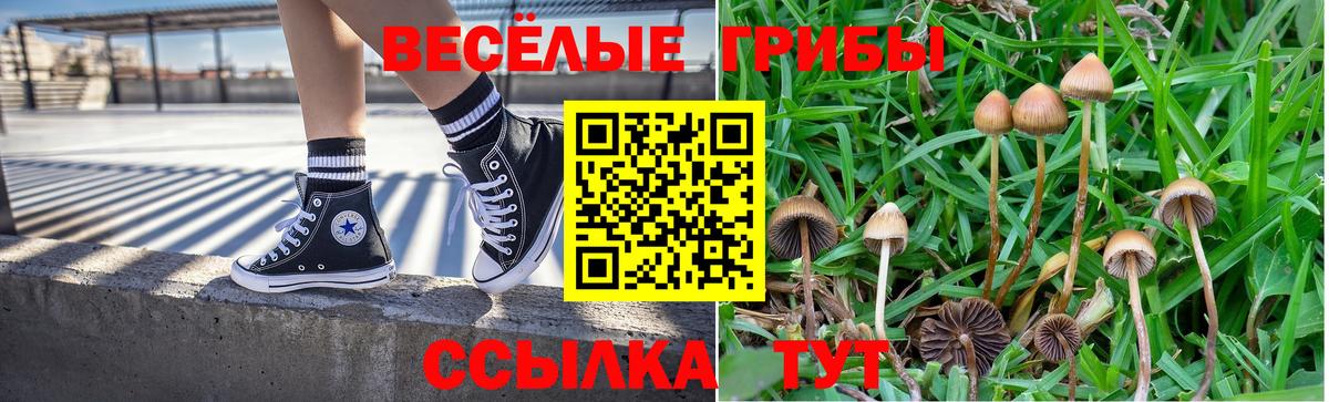 Псилоцибиновые грибы прущие грибы Якутск